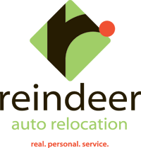 reindeer